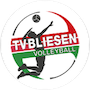 TV Bliesen Logo